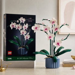Icons Orchid 10311
